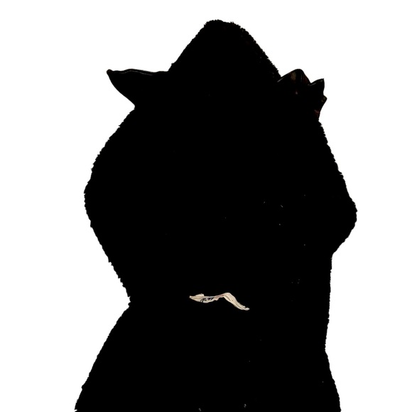 H&M youth Sherpa hoodie - Picture 2 of 3